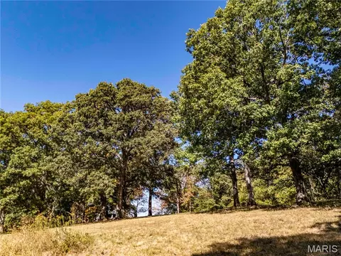 22098 Kinglet Ln, Eolia, MO 63344 photo 28
