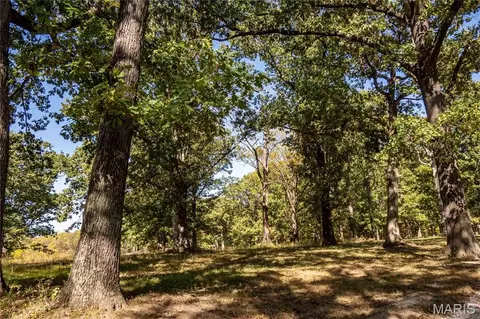 22098 Kinglet Ln, Eolia, MO 63344 photo 15