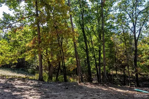 22098 Kinglet Ln, Eolia, MO 63344 photo 13