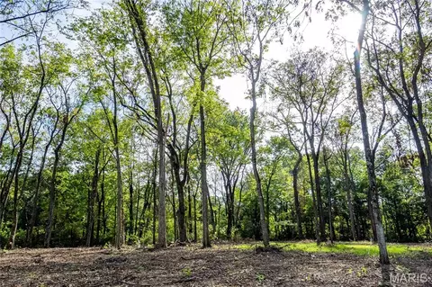 24501 Highway Ww, Eolia, MO 63344 photo 13