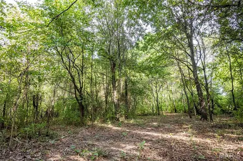 24501 Highway Ww, Eolia, MO 63344 photo 28