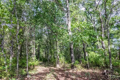 24501 Highway Ww, Eolia, MO 63344 photo 29