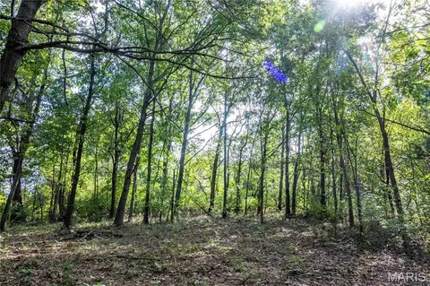24501 Highway Ww, Eolia, MO 63344 photo 22