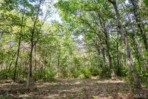 24501 Highway Ww, Eolia, MO 63344 photo 34