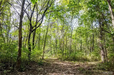 24501 Highway Ww, Eolia, MO 63344 photo 23