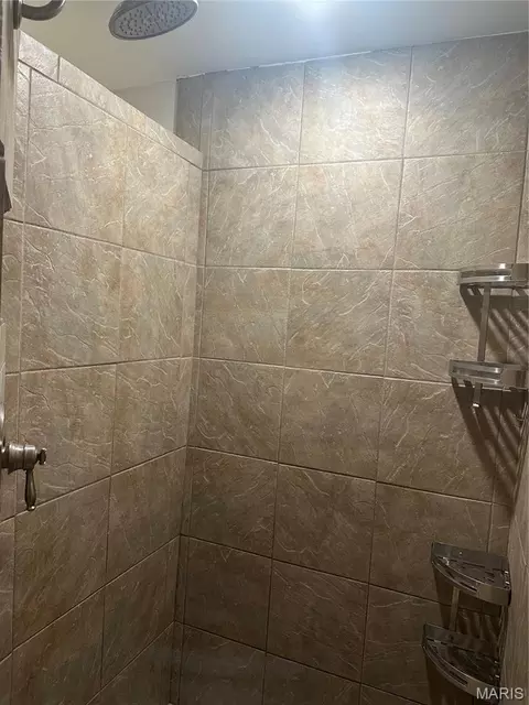 Bath - 209 E Second St, Sparta, IL 62286 photo 4 of 5