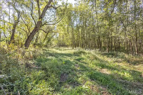 1123 Monroe Rd, Madison, MO 65263 photo 16