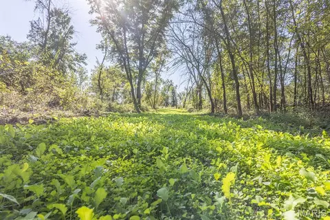 1123 Monroe Rd, Madison, MO 65263 photo 7