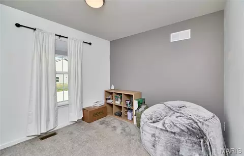 Other - 116 Colton Jesse Dr, Winfield, MO 63389 photo 6 of 8