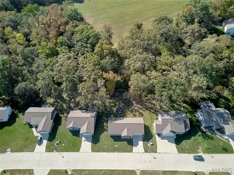View/Area - 116 Colton Jesse Dr, Winfield, MO 63389 photo 1 of 1