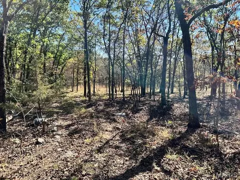 1 Hwy Cc, Ironton, MO 63650 photo 2