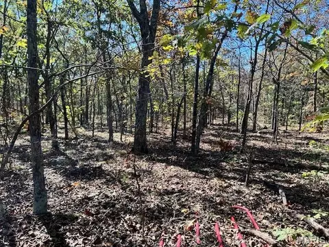 1 Hwy Cc, Ironton, MO 63650 photo 10