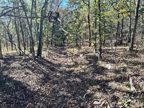 1 Hwy Cc, Ironton, MO 63650 photo 4