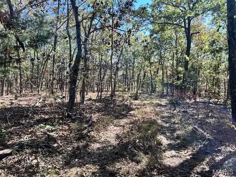 1 Hwy Cc, Ironton, MO 63650 photo 8
