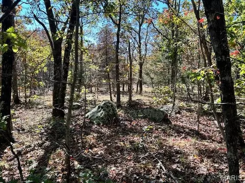 1 Hwy Cc, Ironton, MO 63650 photo 7