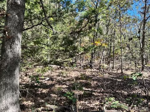 1 Hwy Cc, Ironton, MO 63650 photo 9