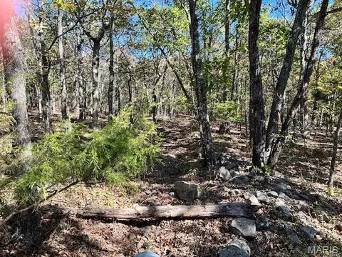 1 Hwy Cc, Ironton, MO 63650 photo 3