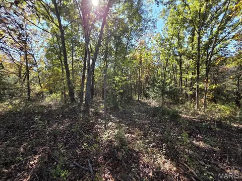 Exterior - 0 St Patrick Ave, Canton, MO 63435 photo 5 of 7
