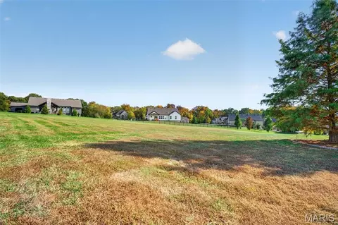 Exterior - 180 Pintail Dr, Old Monroe, MO 63369 photo 7 of 9