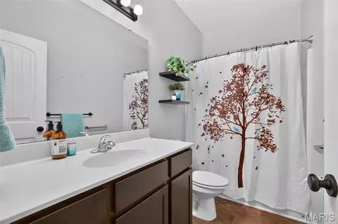 Other - 180 Pintail Dr, Old Monroe, MO 63369 photo 5 of 11