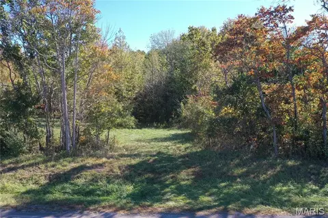 0 N Harmony Ln, Unincorporated, IL 62289