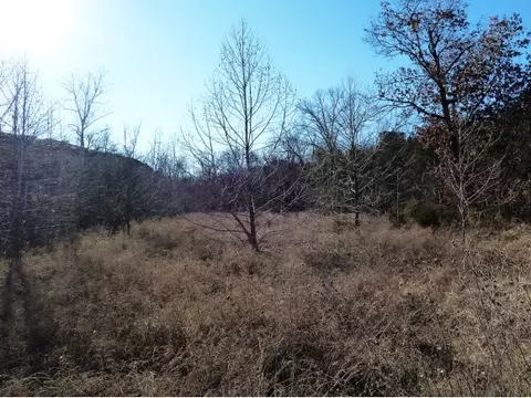 2800 Gretna Rd, Branson, MO 65616 photo 11