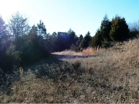 2800 Gretna Rd, Branson, MO 65616 photo 8