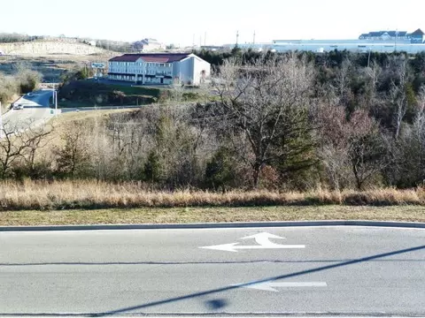 2800 Gretna Rd, Branson, MO 65616 photo 19