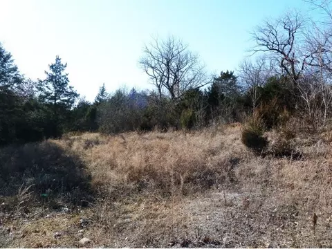 2800 Gretna Rd, Branson, MO 65616 photo 9