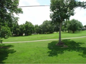 23 Fall Creek Trl #11, Branson, MO 65616 photo 1