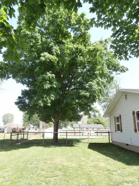 305 E Kime St, Willard, MO 65781 photo 44