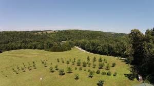 331 Blackhawk Rd, Galena, MO 65656 photo 1