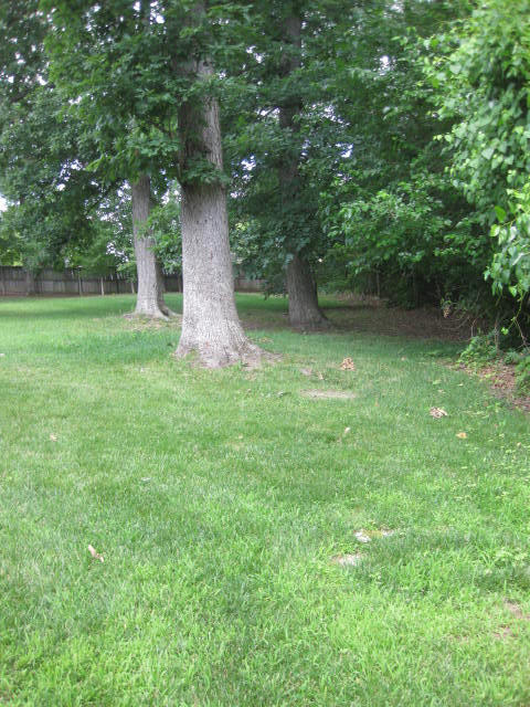 1920 S Brittany Pl, Springfield, MO 65809 photo 97