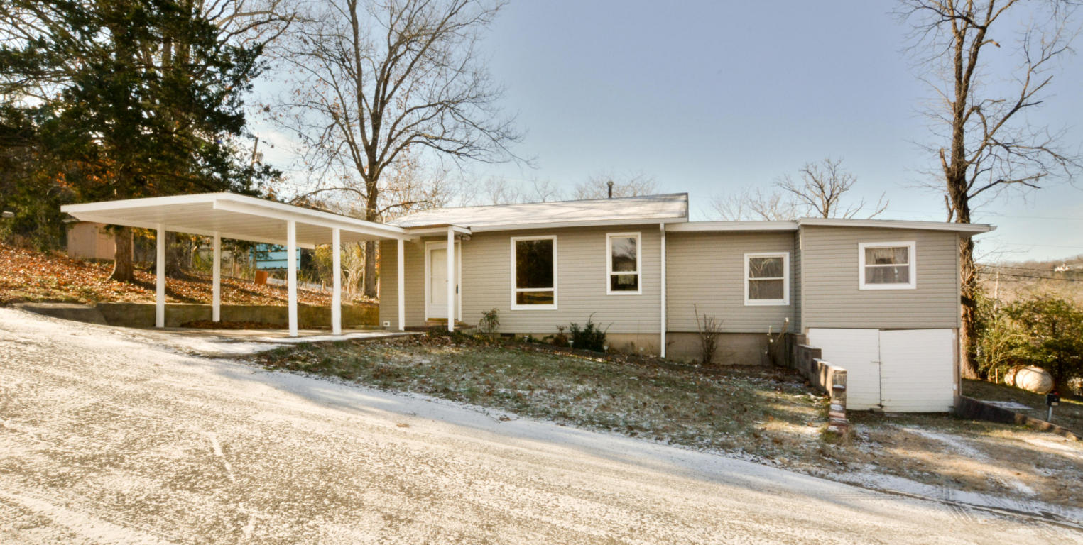 123 Afton Ln, Branson, MO 65616 photo 1