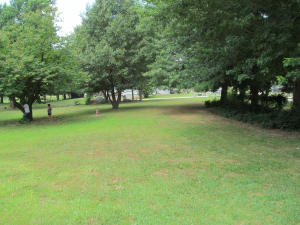 100 Silverleaf, Exeter, MO 65647 photo 1