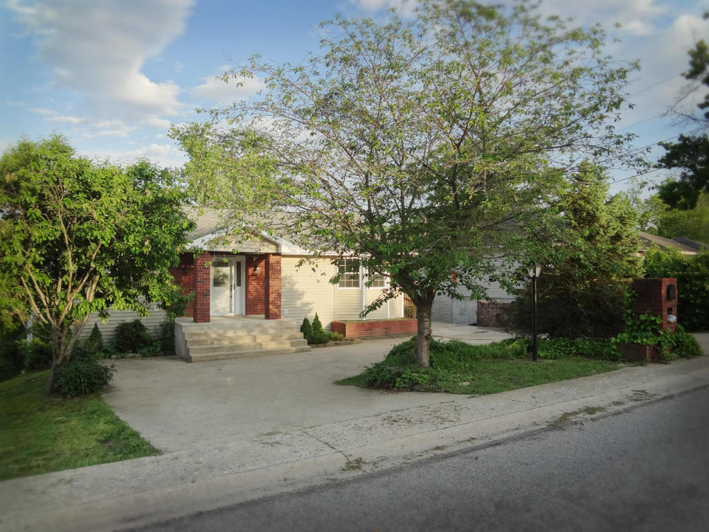 216 Spring Meadow Pkwy, Branson, MO 65616 photo 1