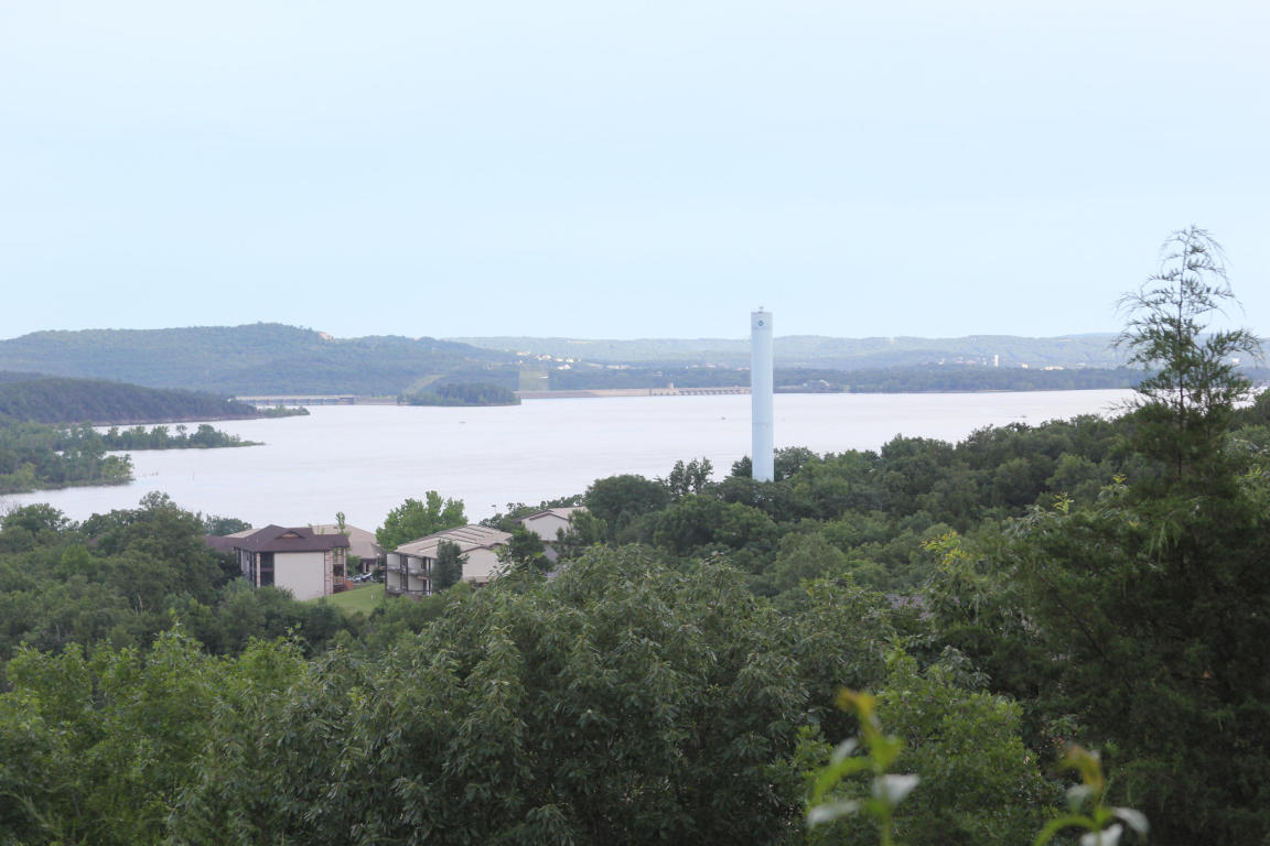 9 Treehouse Ln #2, Branson, MO 65616 photo 1