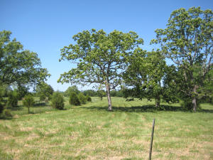 415 Hines Rd, Branson, MO 65616 photo 1