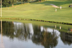 31 Golfshores #5, Branson, MO 65616 photo 1
