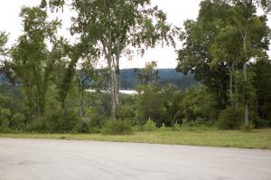 12 Chablis Rd, Lampe, MO 65681 photo 1