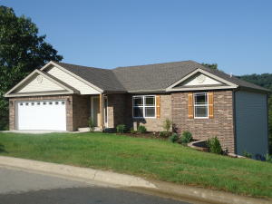 112 Anne Ln, Branson, MO 65616 photo 1