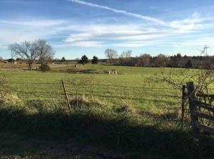 1439 State Hwy W, Ozark, MO 65721 photo 1