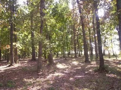 900 Banning St, Marshfield, MO 65706 photo 3