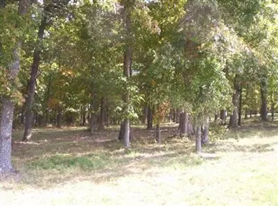 900 Banning St, Marshfield, MO 65706 photo 4