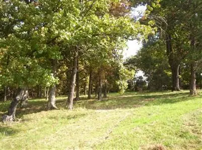 900 Banning St, Marshfield, MO 65706 photo 2
