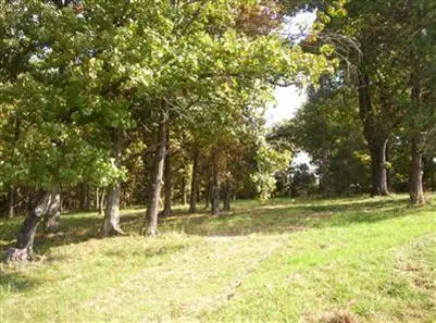 900 Banning St, Marshfield, MO 65706