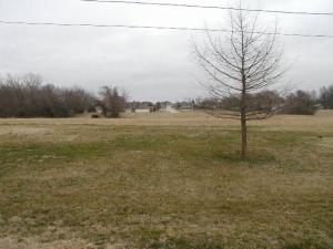 818 S Mark St, Willard, MO 65781 photo 15