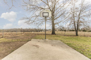309 Melton Ave, Ozark, MO 65721 photo 38