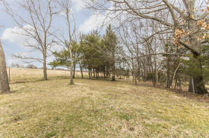 309 Melton Ave, Ozark, MO 65721 photo 37