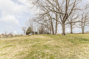 309 Melton Ave, Ozark, MO 65721 photo 36